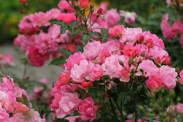Comment créer une ambiance zen dans votre salle de bain ?